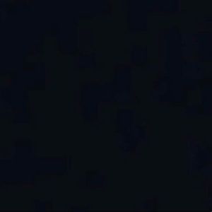 Meet your Posher, Damon